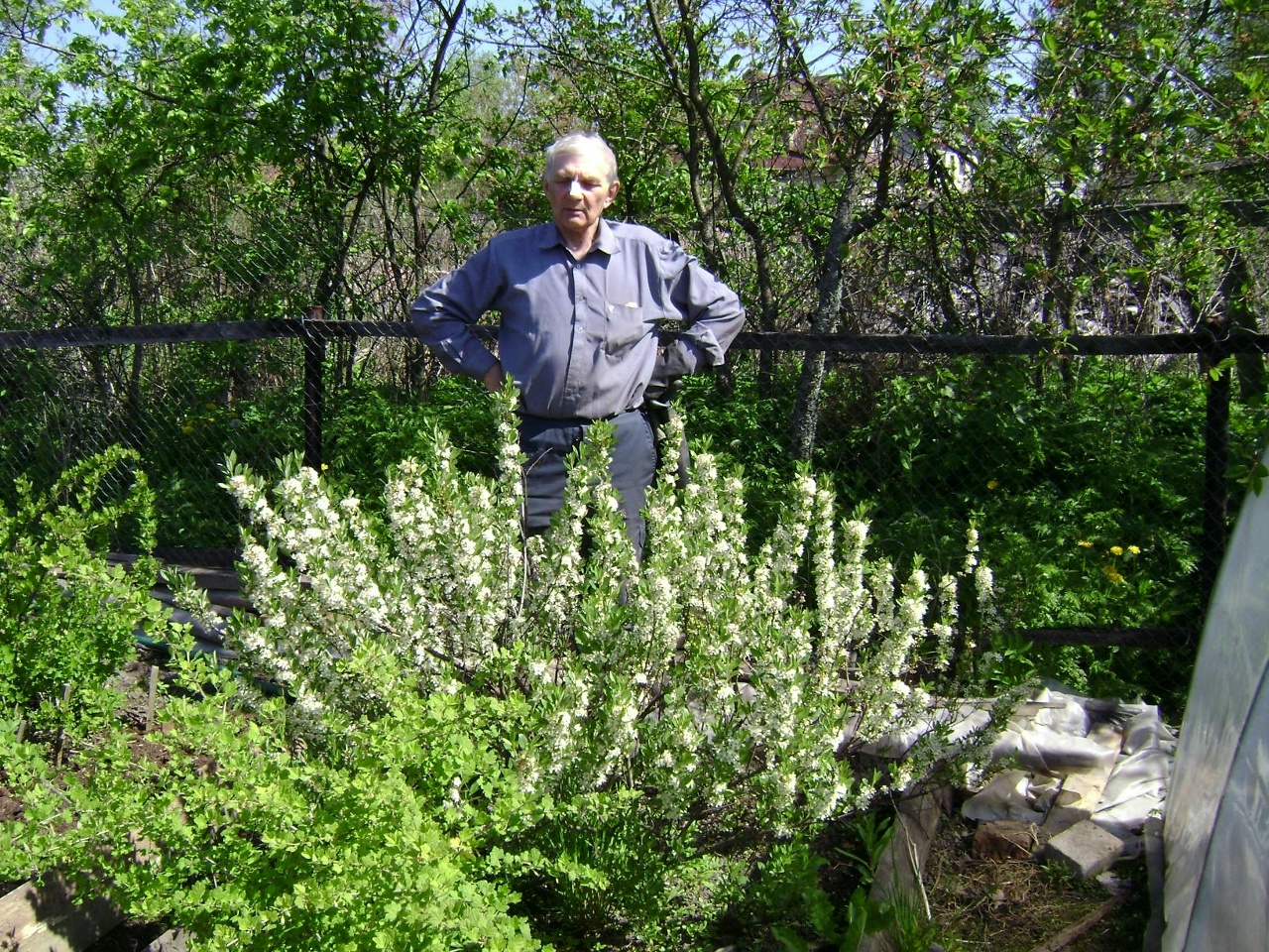 Владимир Евгеневич